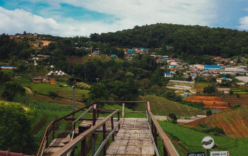 Mae Rim Otro | ไร่อมรพญา ม่อนแจ่ม เชียงใหม่