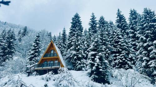 Lentekhi Casa | ლენტეხის მთის სასტუმრო - Lentekhi Mountain Inn