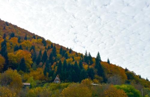 Lentekhi Casa | ლენტეხის მთის სასტუმრო - Lentekhi Mountain Inn