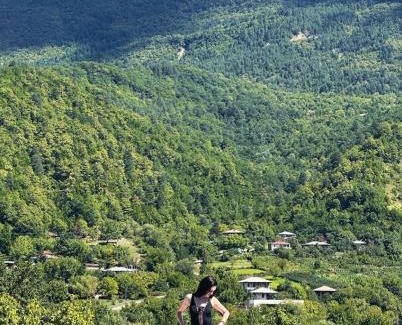 Ambrolauri Hotel | ციბენა Tsibena