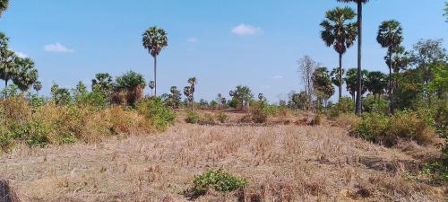 Santuk Otro | ប៉ូច វណ្ណដា ធានាគារ