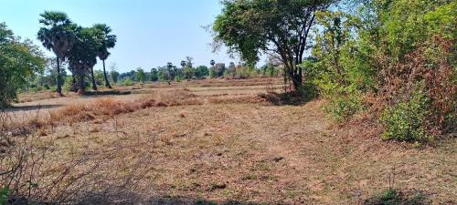 Santuk Otro | ប៉ូច វណ្ណដា ធានាគារ