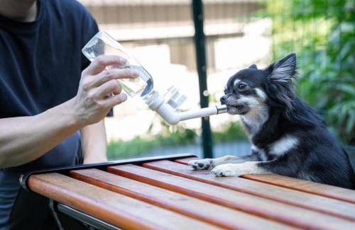 Izu Casa | ドッグラン付きのプライベート宿伊豆月ヶ瀬修善寺RVillage