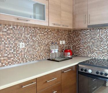 Karpenisi Apartamento | 哈兰德里静谧花园套房