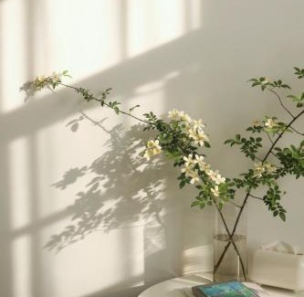 Dali Town Casa | 大理十二花园民宿