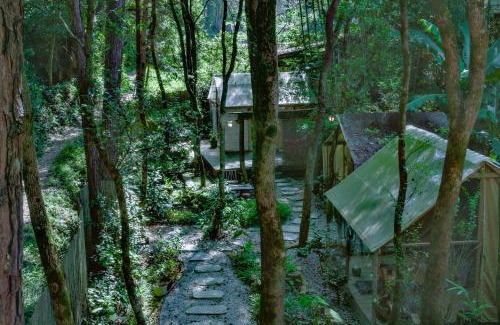 Changjiang County Casa | 景德镇树园心舍民宿 Forest Haven B&B