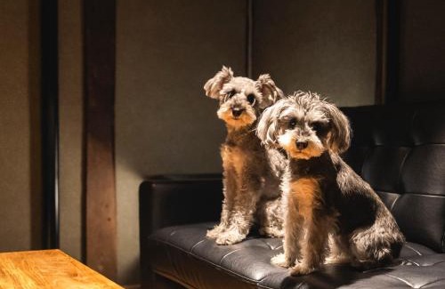 Matsue Casa | 松江日和 by HIYORISTAY