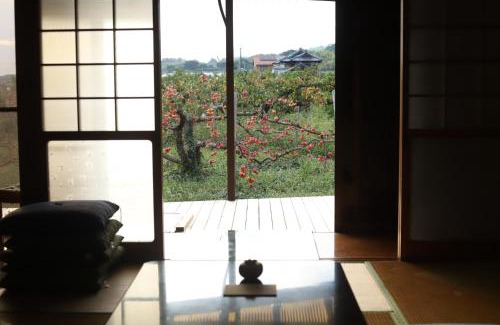 Katsuragi Casa | 柿畑の宿 guesthouse next to the persimmon orchard