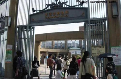 Abeno Apartamento | 花跡民宿三号情侣房，家庭房，独享空间 ! 4分钟到难波，日本桥，心斋桥！