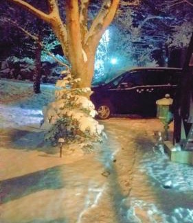 Nagano Apartamento | 貸切別荘Madoyaのお宿 Loiseau bleu Iizuna