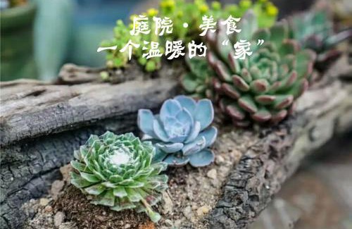 Chenzhou Casa | 资兴东江湖16号精品别墅