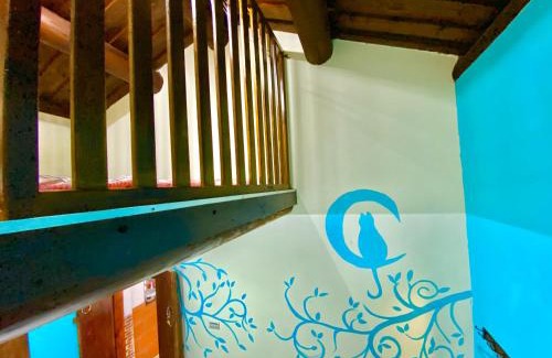 Jinhu Casa | 金門玉宿古厝小包棟民宿
