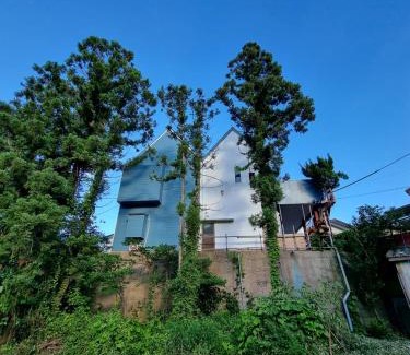 Tsushima Casa | 대마도쇼핑구마에하우스