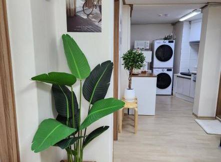 Sungin-dong Apartamento | 몽마르뜨숭인 퀸4 룸3 최대8인 얼음정수기 비데 명동 동대문 홍대 인사동 케이팝
