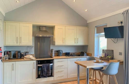 Black Torrington Cabaña | Alojamiento de 1 habitaciones en Highhampton, near Beaworthy