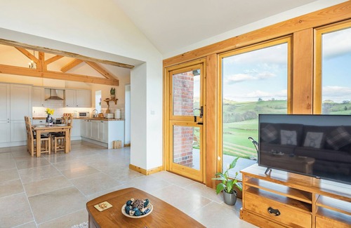 Newtown Cabaña | Alojamiento de 1 habitaciones en Bettws Cedewen