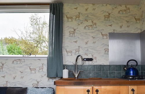 Holsworthy Cabaña | 1 bedroom accommodation in Holsworthy