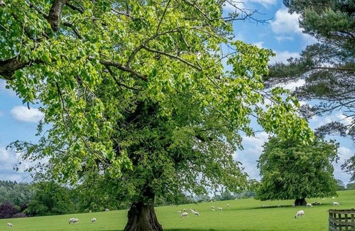 Gisburn Casa | 1 bedroom accommodation in Gisburn, Yorkshire Dales