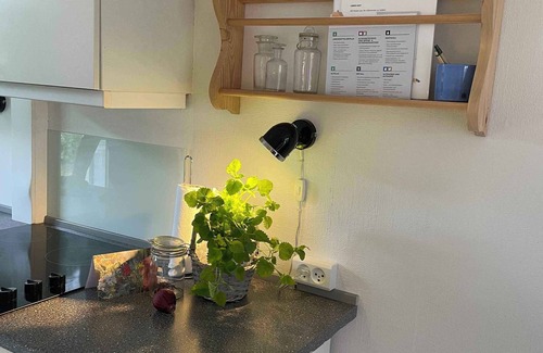 Dueodde Apartamento | 1 bedroom accommodation in Nexø