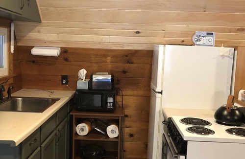 Newaygo Cabina | 1-bedroom cabin near Huron-Manistee National Forest