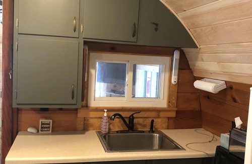 Newaygo Cabina | 1-bedroom cabin near Huron-Manistee National Forest