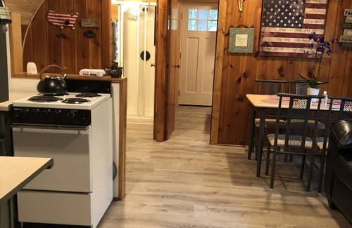 Newaygo Cabina | 1-bedroom cabin near Huron-Manistee National Forest