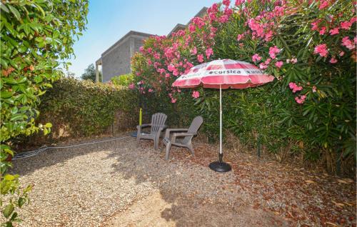 Venzolasca Casa | 1 Bedroom Gorgeous Home In Venzolasca
