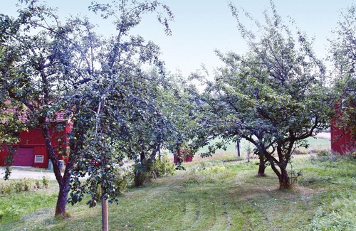 Storfors Casa | Preciosa casa de 1 dormitorio en.