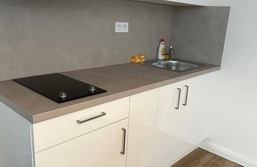 Petrska ctvrt Apartamento | 1 Br Apartment at Prague 1