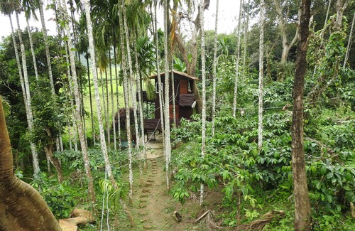 Virarajendrapet Complejo | 1 casa duplex en el árbol, 1 casa en el árbol, 2 casas de campo y 1 villa familiar