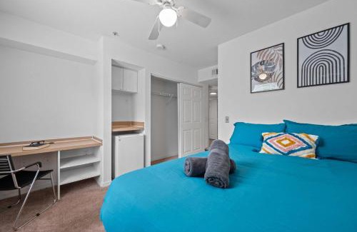 Temple Terrace Casa | 1 MI to USF Budget Friendly Pool GYM