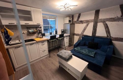 Ilversgehofen Apartamento | 1-Raum Ferienwohnung