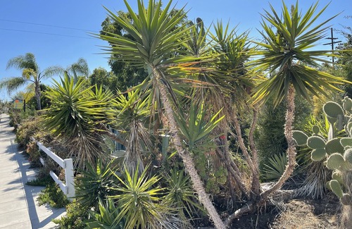 City Heights Casa | 10 Min to Downtown, tranquil 2 BR House with patio and deck, free parking