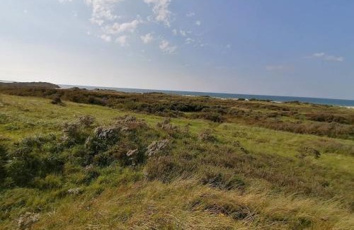 Aalbaek Casa | 10 person holiday home in Ålbæk-By Traum