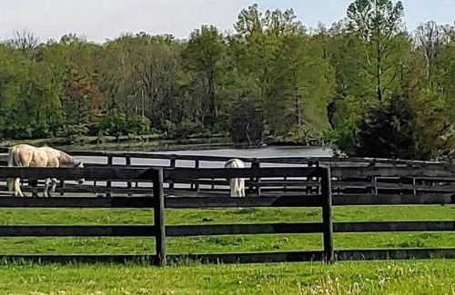 Lebanon Apartamento | 102 Acre Pet Friendly Horse Farm! Bring your horse too!