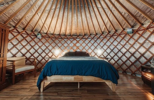 Asheville Cabina | 16’ Yurt in the Forest, Queen bed, kitchenette, hiking & 15 min to AVL.