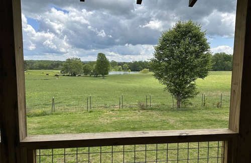 Fort Payne Cabina | 1800s Pre-Civil War Log Cabin restored on 300 acre adjoining Little River Canyon