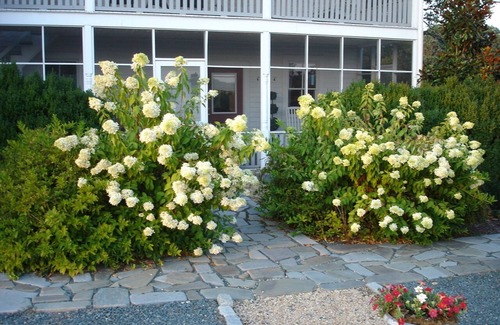 Gordonsville Casa | 1856 Pazo de 600-Acre Caballo de Trabajo / Ganado Estate