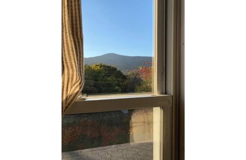 Adams Casa | 1890 House