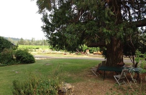 Mariposa Cabaña | Casa de viñedos de 1893 a las puertas de Yosemite.