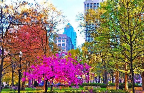 Rittenhouse Row Apartamento | 1955 Rittenhouse - 3R