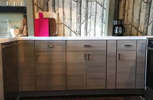 Harbor Springs Chalet De Esquí | Retro siglo mediados de esquí Chalet al lado de Nubs Nob Ski & Golf