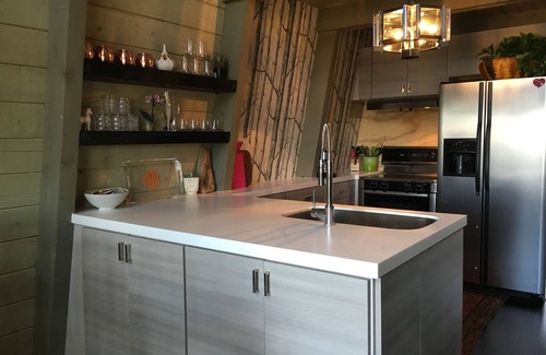 Harbor Springs Chalet De Esquí | Retro siglo mediados de esquí Chalet al lado de Nubs Nob Ski & Golf