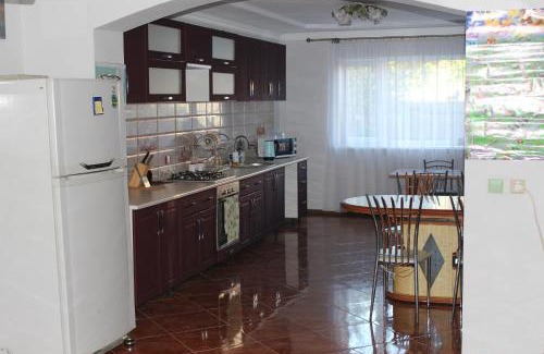 Palyanytsya Cabina | 2х місна кімната з видом у сад