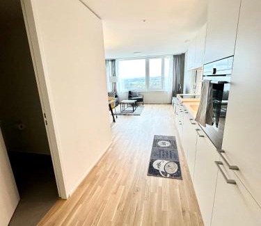 Neuhausen am Rheinfall Apartamento | 2.5 Room@MydiHei Apartments