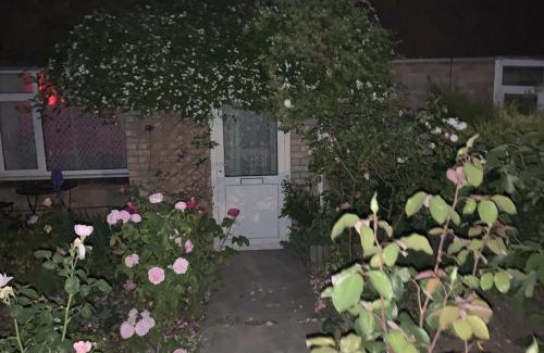 Amesbury Casa | 2-Bed House Sleeps 4 - Enclosed Garden - Tv & WiFi