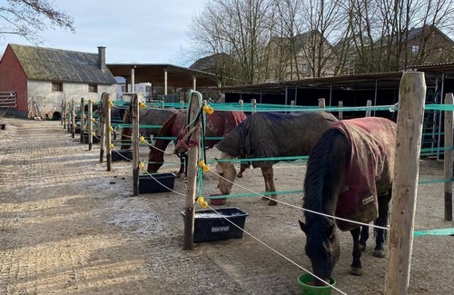 Bruck Apartamento | 2-bed western apartment up to 4 pers. - Vacation apartments Brücker Mühle