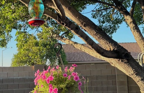 Sierra Vista Casa | 2-bedroom clean home in Sierra Vista, WiFi, AC, covered patio & shaded backyard.
