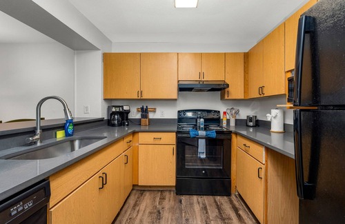 Bearss Plaza Apartamento | 2 MI to USF! Pet Friendly! Pool and Gym!