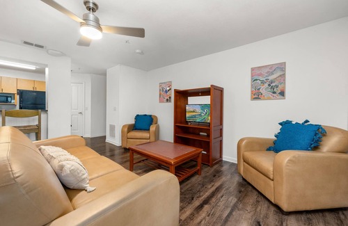 Bearss Plaza Apartamento | 2 MI to USF! Pet Friendly! Pool and Gym!
